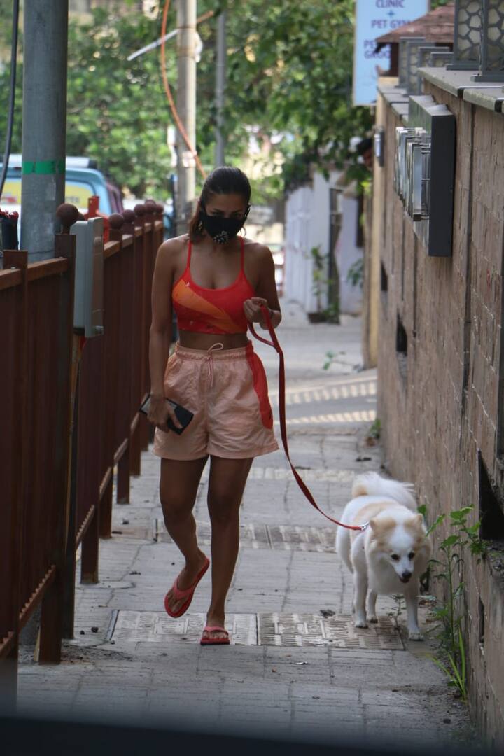 कभी मलाइका खुद जॉगिंग करती नज़र आती हैं तो कभी वो अपने पेट डॉग कैस्पर को वॉक कराने ले जाती हैं.