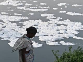 World Environment Day 2021: Know Importance Of ‘Ecosystem Restoration’ Theme & Significance Of This Day