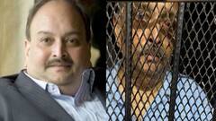 मैत्रीणीमुळे मेहुल चोक्सी पोलिसांच्या जाळ्यात? कसा पकडला गेला चोक्सी? कोण होती 'ती' महिला?