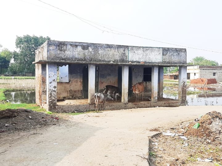 APHC of former Bihar CM Jitan Ram Manjhis area became Cattle shelters People going 18 km away when they are sick ann बिहार के पूर्व CM जीतन राम मांझी के इलाके का APHC बना तबेला, बीमार होने पर 18 किलोमीटर दूर जाते लोग