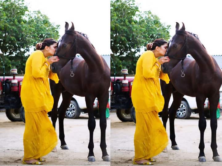 Sapna Choudhary dance video haryanvi dance Sapna Choudhary was seen kissing the horse अब घोड़े को चूमती दिखीं Sapna Choudhary, कहा -’बेजुबानों की दोस्ती बोलने वालो से अच्छी’