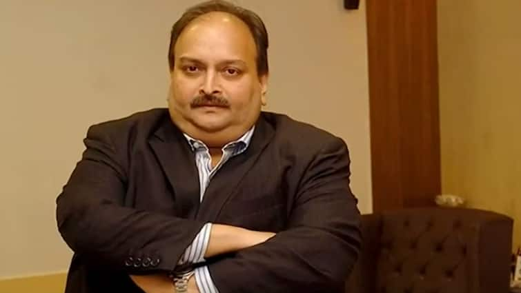 team went to get back Fugitive Mehul Choksi  returned to India empty handed from Dominica ਚੋਕਸੀ ਦੀ ਭਾਰਤ ਵਾਪਸੀ ਲਈ ਗਈ ਟੀਮ ਡੋਮਿਨਿਕਾ ਤੋਂ ਖਾਲੀ ਹੱਥ ਮੁੜੀ