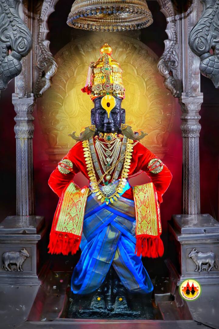 लॉकडाऊनमध्ये मंदिर समितीने प्रोफेशनल फोटोग्राफर कडून विठुराया आणि रुक्मिणी मातेच्या विविध पोशाखातील शेकडो फोटो काढून घेतले होते.