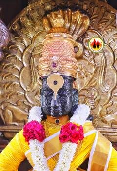 In Pics : विठ्ठल भक्तांना खुशखबर... 31 प्रकारच्या विविध आकर्षक छबीत मिळणार वॉटरप्रूफ  विठुरायाच्या प्रतिमा