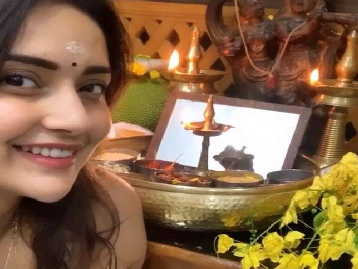 தமிழில் சாட்டை திரைப்படம் மூலம் அறிமுகமானார். அப்படத்தில் பள்ளி மாணவியாக நடித்தார்