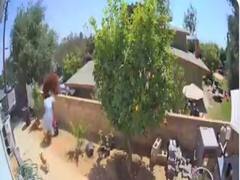 Viral: जब कुत्ते को दबोचने आए भालू को 17 साल की लड़की ने दिया धक्का, फिर क्या हुआ?