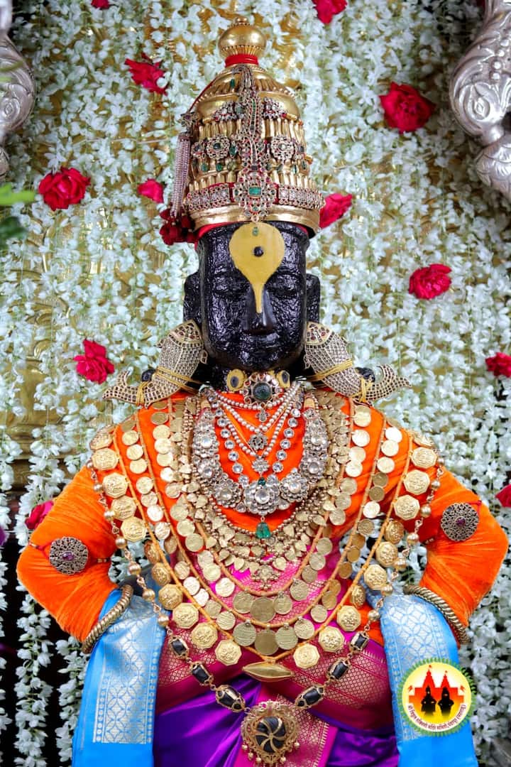 यामुळे आता विठुरायाच्या अतिशय मनमोहक विविध पोशाखातील रूपे आपल्या घरात , दुकानात आपण आणू शकणार आहे.