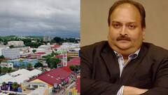 Mehul Choksi : मिशन मेहुल चोक्सी... भारतात आणण्यासाठी डॉमिनिकाच्या कोर्टात ईडी याचिका दाखल करणार