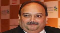 Dominica सरकार ने कोर्ट से कहा- Mehul Choksi की याचिका करें खारिज, भारत को सौंपा जाए चोकसी