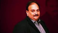 मेहुल चोकसी पर डोमिनिका कोर्ट में आज भी होगी सुनवाई