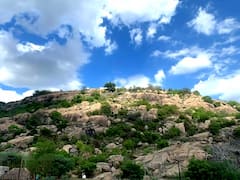 வரலாற்று பக்கங்களின் பொக்கிஷம் முக்தியாலீஸ்வரா் கோயில்!