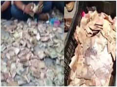 जम्मू: भीख मांगने वाली महिला की झोपड़ी से मिले नोटों से भरे बक्से, जानिए क्या है मामला