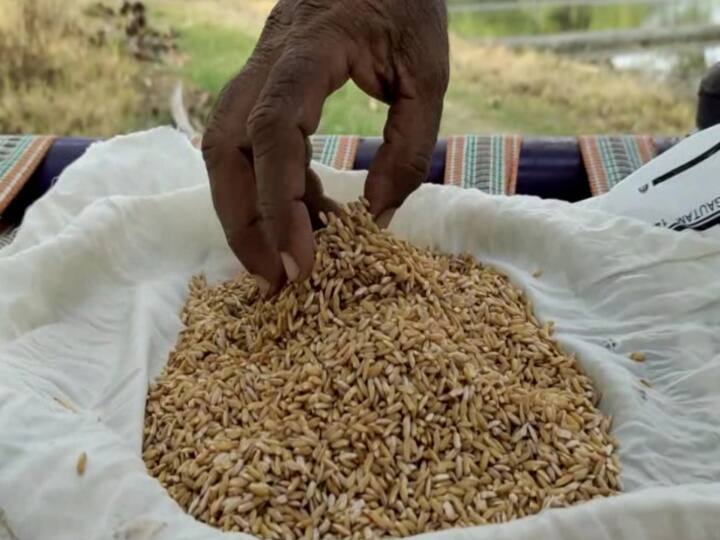 Mayiladuthurai Farmer's record 250 கிராம்  விதை நெல் மூலம் 4 டன் மகசூல் செய்யும் மயிலாடுதுறை விவசாயி!
