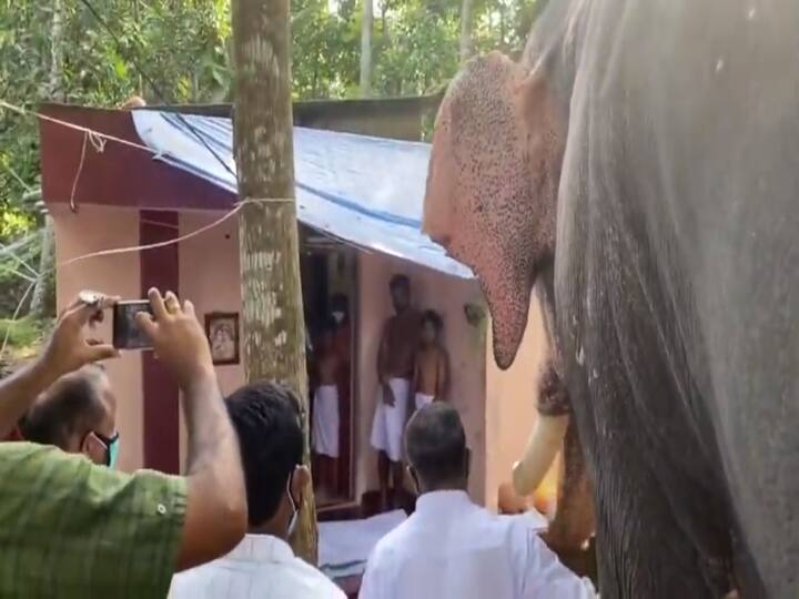 Elephant in kerala pays it last respect to its Mahout after he died பாகனுக்கு இறுதி அஞ்சலி செலுத்தவந்த யானை : உணர்ச்சிப்பூர்வமான வீடியோ !