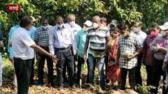 Palghar Cyclone Damage : केंद्रीय पथक आज पालघरच्या दौऱ्यावर, वादळानंतरच्या नुकसानाची पाहणी