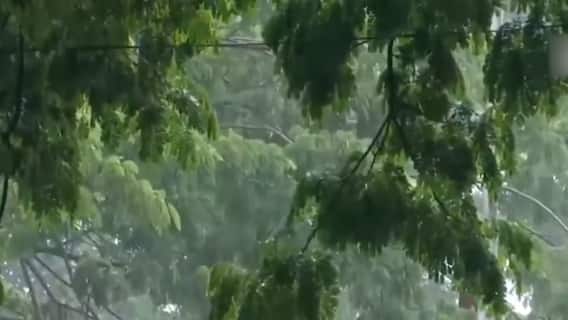 Monsoon Update: 2 दिन की देरी के बाद आज केरल पहुंचेगा मानसून