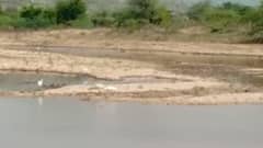 Banaskantha:રાત્રે આવેલા વરસાદના કારણે આ નદીમાં આવ્યા નવા નીર, જુઓ વીડિયો