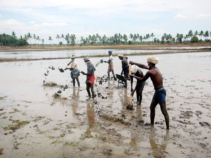 metoor dam open announcement delta farmers happy ஜூன் 12 மேட்டூர் அணை திறப்பு- டெல்டா விவசாயிகள் மகிழ்ச்சி
