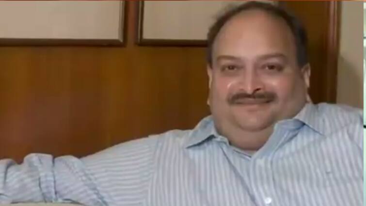 Dominican court denies fugitive diamantaire Mehul Choksi bail PNB Mehul Choksi: মেহুল চোকসির জামিন খারিজ ডমিনিকার আদালতের