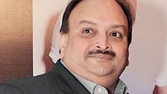 ਡੋਮਿਨਿਕਾ ਦੀ ਅਦਾਲਤ ਨੇ ਇਲਾਜ ਲਈ ਮੇਹੁਲ ਚੋਕਸੀ ਨੂੰ ਦਿੱਤੀ ਜ਼ਮਾਨਤ