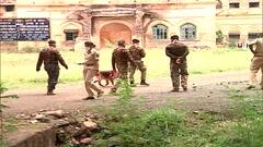 Nagpur मध्ये 6 दिवसांपासून बिबट्याचा शोध सुरु; वन विभागाच्या हाती बिबट्या कधी लागणार?