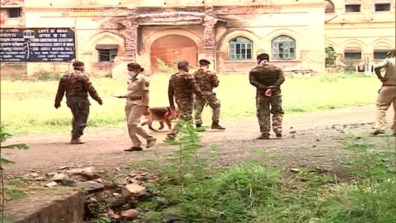 Nagpur मध्ये 6 दिवसांपासून बिबट्याचा शोध सुरु; वन विभागाच्या हाती बिबट्या कधी लागणार?