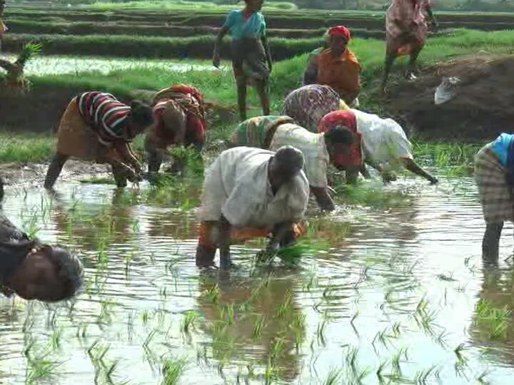 முல்லை பெரியாறு இருபோக பாசனம்; கூடுதல் நீர் திறப்பு!