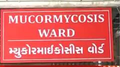 ફટાફટઃરાજ્યમાં મ્યુકરમાઈકોસિસનો આતંક, ક્યાં કેટલા નોંધાયા કેસ?,જુઓ મહત્વના સમાચાર