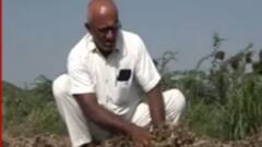 અરવલ્લીમાં વરસાદ પડતાં ખેતીને નુકસાન, ખેડૂતો થયા ચિંતિત