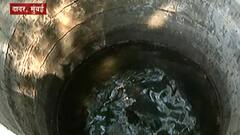 Shivaji Park : शिवाजी पार्कमध्ये पाण्याचा गोडवा, गोड्या पाण्याचे पाच स्रोत सापडले : स्पेशल रिपोर्ट