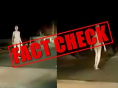 Alien In Jharkhand? On-Lookers Who Shot Viral Video Reveal Truth Behind 'Spooky Creature' On Road