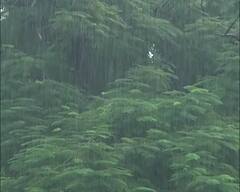 Weather Update: আগামী সপ্তাহেই বর্ষা ঢুকছে রাজ্যে?