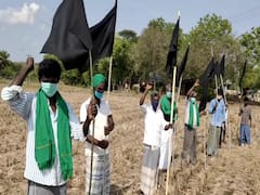 ’பயிர் காப்பீடு வழங்குக’ வயலில் கருப்புக் கொடி கட்டிய விவசாயிகள்...!