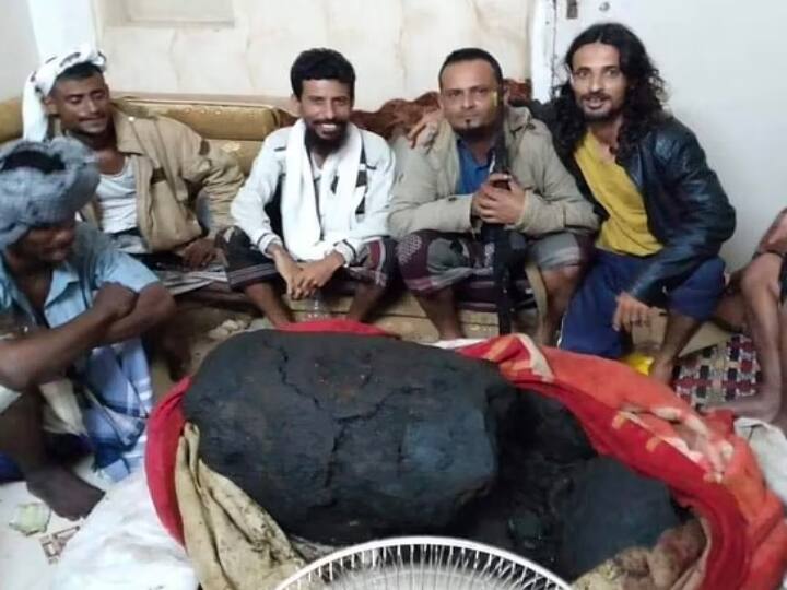 Millionaire fishermen in a single vomit ஒரே ஒரு வாந்தி... ஓவர் நைட்டில் கோடீஸ்வரனான மீனவர்கள்!