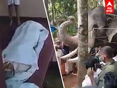 Viral Video: பிரிவை தாங்க முடியல... பாகனுக்கு யானையின் இறுதி அஞ்சலி