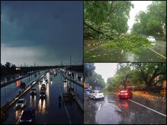 IN PICS | Heavy Rains, Gusty Winds In Delhi Leave Behind Uprooted Trees, Traffic Jams & Diverted Flights