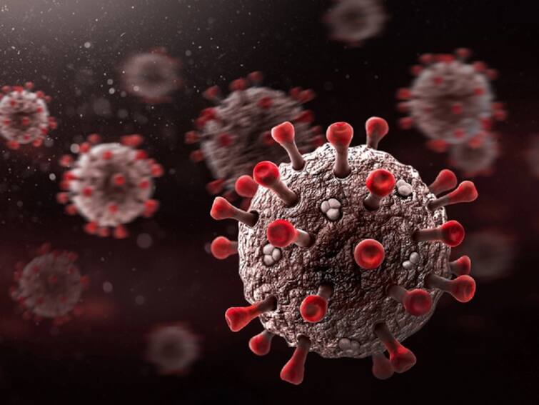 NIV Pune Detects New Variant B.1.1.28.2; Could Be More Dangerous Than Alpha, Delta Corona New Variant: ডেল্টার পর করোনার নয়া ভ্যারিয়েন্টের সন্ধান, ফের চিন্তা বাড়াচ্ছে বিশেষজ্ঞদের