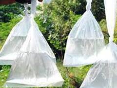 எல்லை தாகம் தீர்க்க புறப்பட்ட புயல்.... போலீசாரிடம் சிக்கி சின்னாபின்னமான கதை!