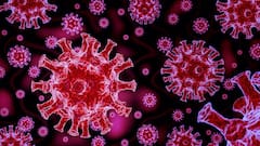 Coronavirus: করোনা আক্রান্ত হলে ১০ মাসের মধ্যে ফের সংক্রমণের সম্ভাবনা প্রায় ৬০ শতাংশ কম, দাবি সমীক্ষায়