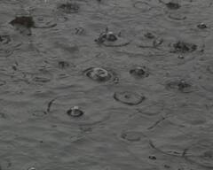 Weather Update: আগামী সপ্তাহেই বর্ষা ঢুকছে রাজ্যে?