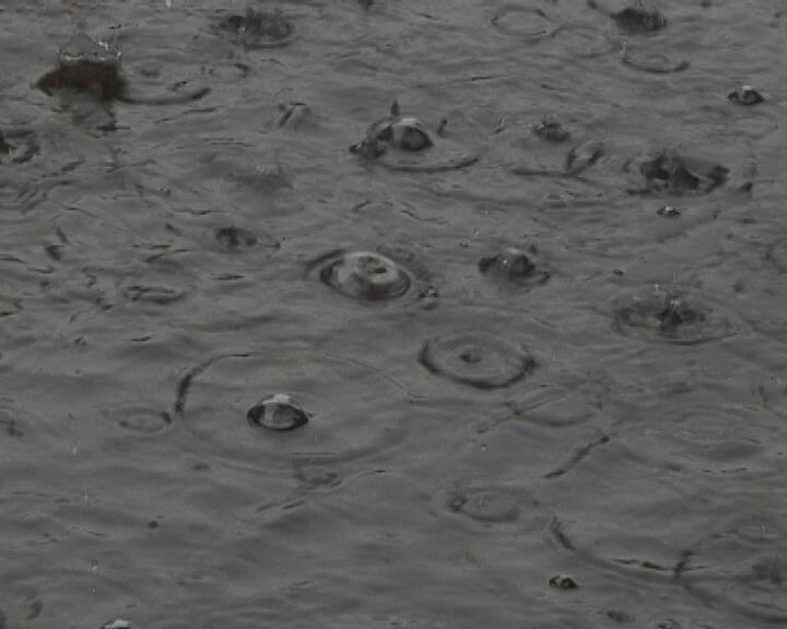 সারাদিন মেঘ-রোদের খেলা চলছে। তার মধ্যে বাতাসে আপেক্ষিক আর্দ্রতা বেশি থাকায়, ঘেমে নেয়ে একশেষ হতে হচ্ছে কলকাতা-সহ দক্ষিণবঙ্গের বাসিন্দাদের।