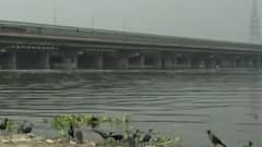 World Environment Day: आज भी अपनी हालत सुधरने के इंतजार में दिल्ली की यमुना नदी | Ground Report