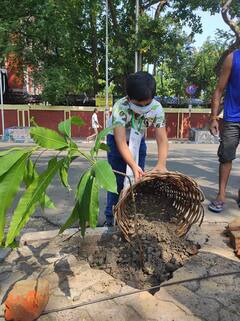 World Environment Day 2021 বিশ্ব পরিবেশ দিবসে বৃক্ষরোপণ-বৃক্ষদান কর্মসূচি পালন পশ্চিমবঙ্গ বিজ্ঞান মঞ্চের
