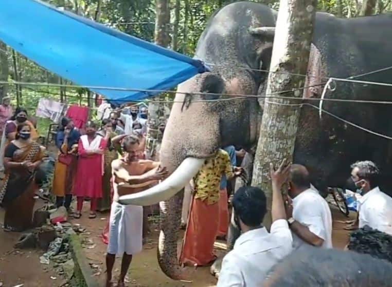 Heartwarming video of elephant bidding farewell to mahout who died of cancer अपने महावत को अंतिम विदाई देने के लिए हाथी का दिल को छू लेने वाला वीडियो सामने आया