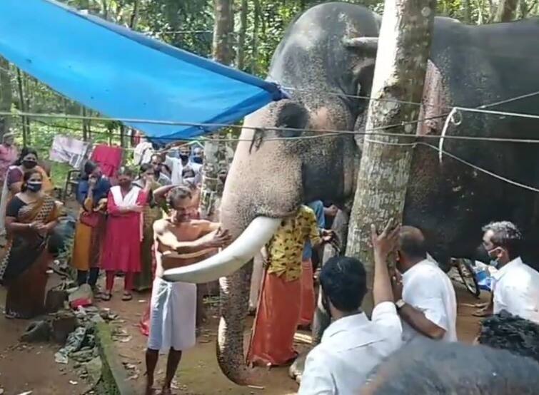 अपने महावत को अंतिम विदाई देने के लिए हाथी का दिल को छू लेने वाला वीडियो सामने आया