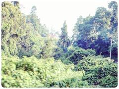 पर्यावरण दिवस विशेषः अब कौन सुनेगा तेरी आह... क्या हमें फिर से रोमांचित कर पाएंगे झिंगुर और दादुर की आवाज