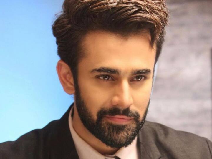 Naagin 3 Actor Pearl V Puri Arrested For Allegedly Raping And Molesting Minor Girl ‘Naagin 3’ Actor Pearl V Puri Arrested For Allegedly Raping And Molesting Minor Girl