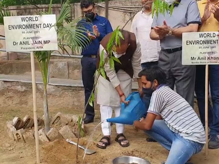 विश्व पर्यावरण दिवस के मौके पर बीजेपी सांसद अनिल जैन ने लगाया पौधा, कहा- विकास के नाम पर पेड़ों का कटान विश्व ने देखा
