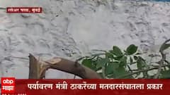 पर्यावरण दिनाच्या आदल्या दिवशी लोअर परळमध्ये 20 ते 25 झाडांची कत्तल, होर्डिंगसाठी झाडं तोडल्याचा स्थानिकांचा आरोप