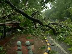 Delhi Rains: বৃষ্টিতে ভিজল দিল্লি, তীব্র গরম থেকে সাময়িক স্বস্তি
